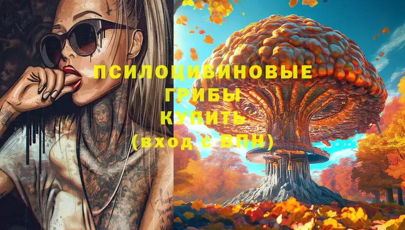 купить наркотики сайты  Гай  Псилоцибиновые грибы Magic Shrooms 